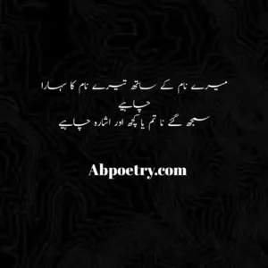 Shayari Urdu in Hindi | 2 Lines Love Poetry |