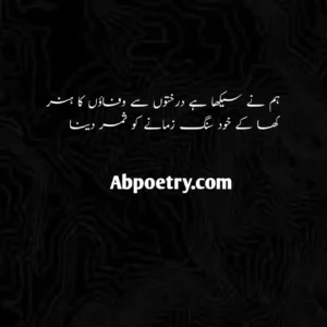 Shayari Urdu in Hindi | 2 Lines Love Poetry |