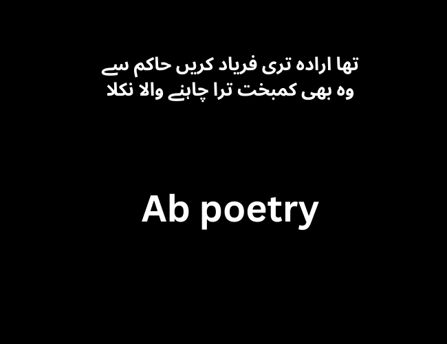 Best Attitude Poetry in Urdu