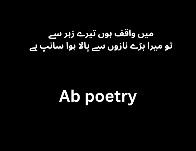Best attitude poetry in Urdu
