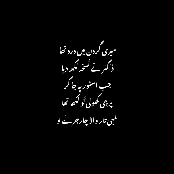 Funny Poetry in Urdu