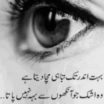Tanhai poetry in urdu